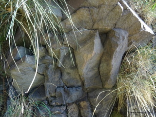 Monte Rinatu
